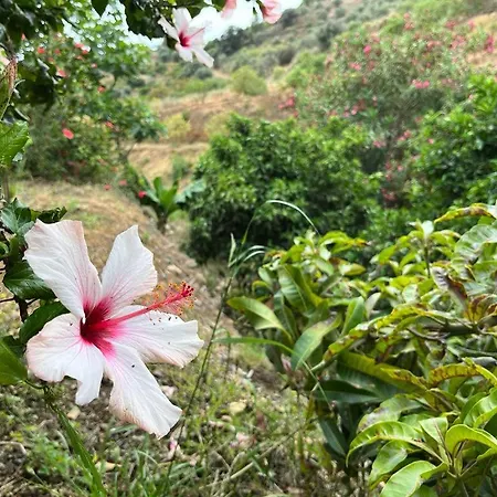 Rural El Oasis Almunecar