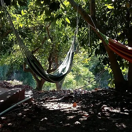 Bed & Breakfast Rural El Oasis Almuñécar