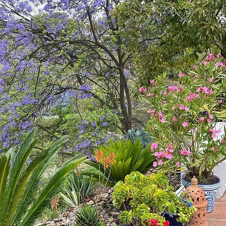 Rural El Oasis Almuñécar