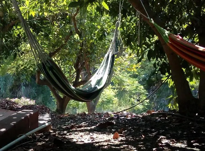 Rural El Oasis Almuñécar
