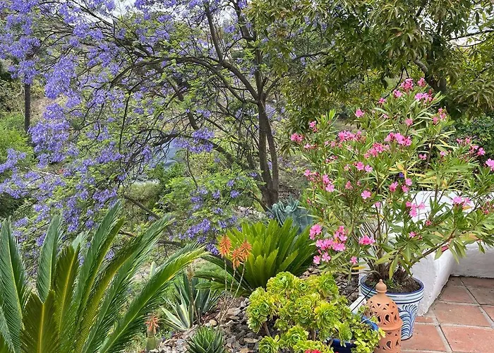 Rural El Oasis Almuñécar